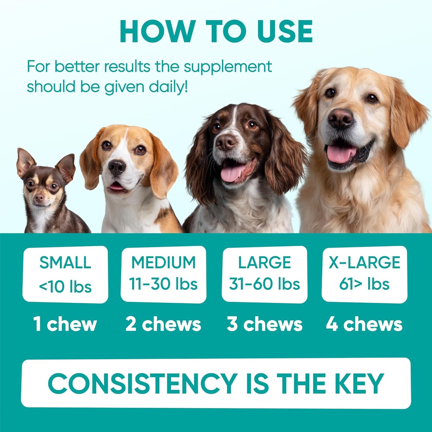 Pawzitive Pets Hemp Calming Chews for Dogs – 120 Soft Treats
