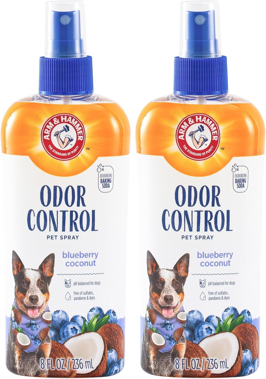 Arm & Hammer Super Deodorizing Dog Spray – Kiwi Blossom 8 oz