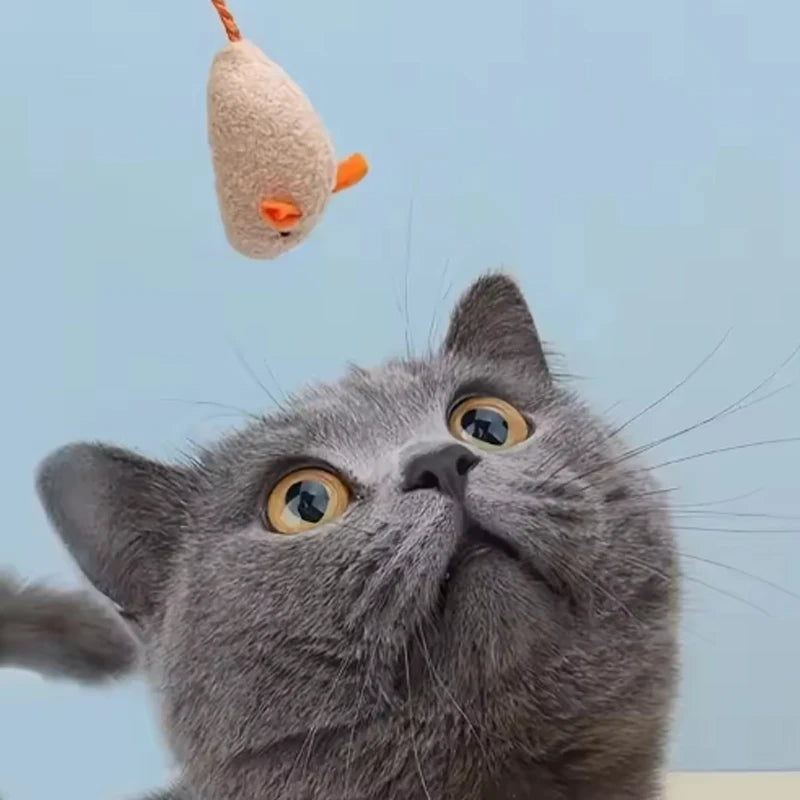 Interactive Plush Mouse Cat Toy Set – Random Colour Pack