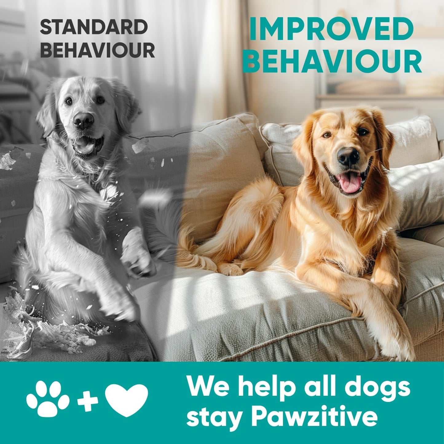 Pawzitive Pets Hemp Calming Chews for Dogs – 120 Soft Treats