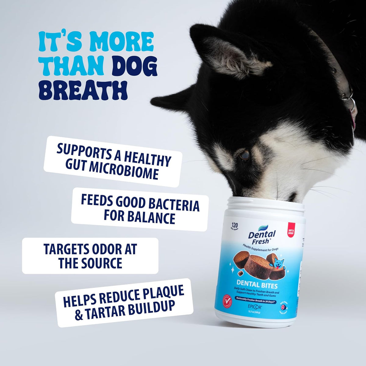 Dental Bites for Dogs, Daily Oral Care, 120 Count