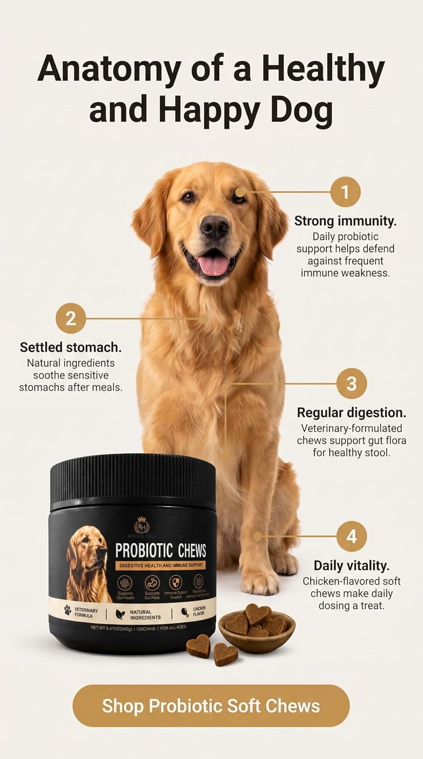 Probiotics for Dogs – Digestive Health & Gut Support – Supports Healthy Digestion, Immune System, Gas & Bloating Relief – Soft Chews for Small, Medium & Large Dogs – 120 Chews