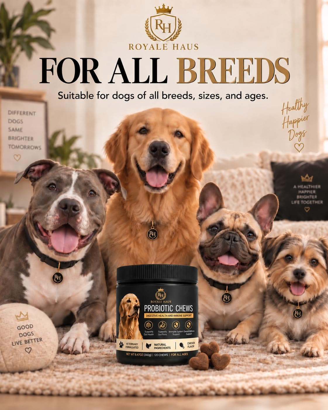 Probiotics for Dogs – Digestive Health & Gut Support – Supports Healthy Digestion, Immune System, Gas & Bloating Relief – Soft Chews for Small, Medium & Large Dogs – 120 Chews