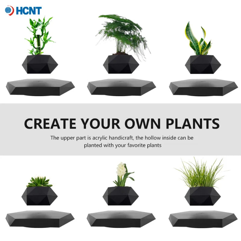 Magnetic Levitating Succulent Plant Pot – Floating Bonsai Desk Decor