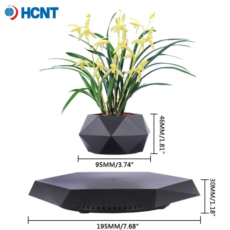 Magnetic Levitating Succulent Plant Pot – Floating Bonsai Desk Decor