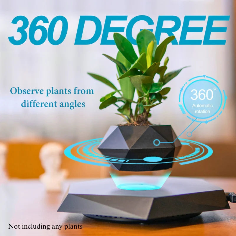 Magnetic Levitating Succulent Plant Pot – Floating Bonsai Desk Decor