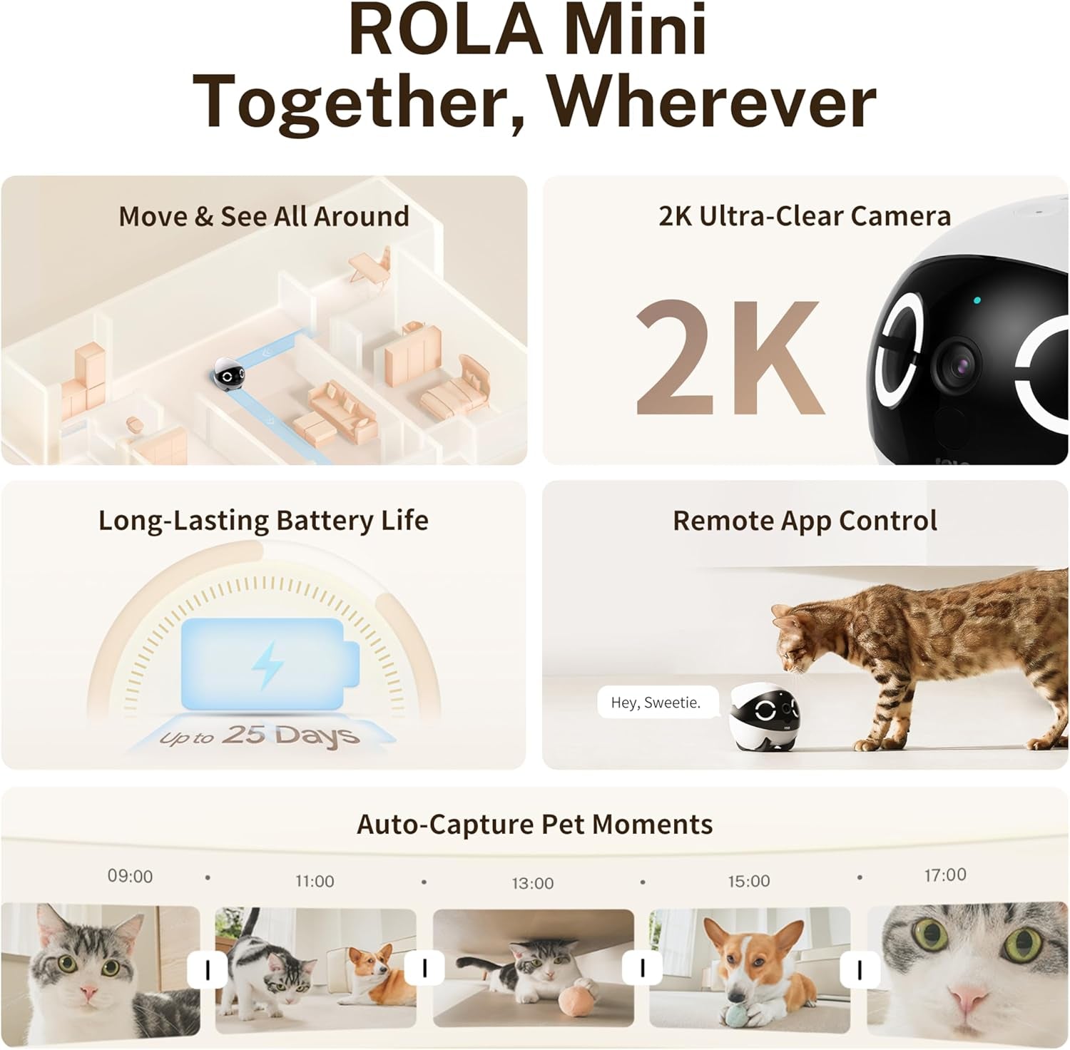 Enabot EBO ROLA Mini Smart Pet Camera Robot