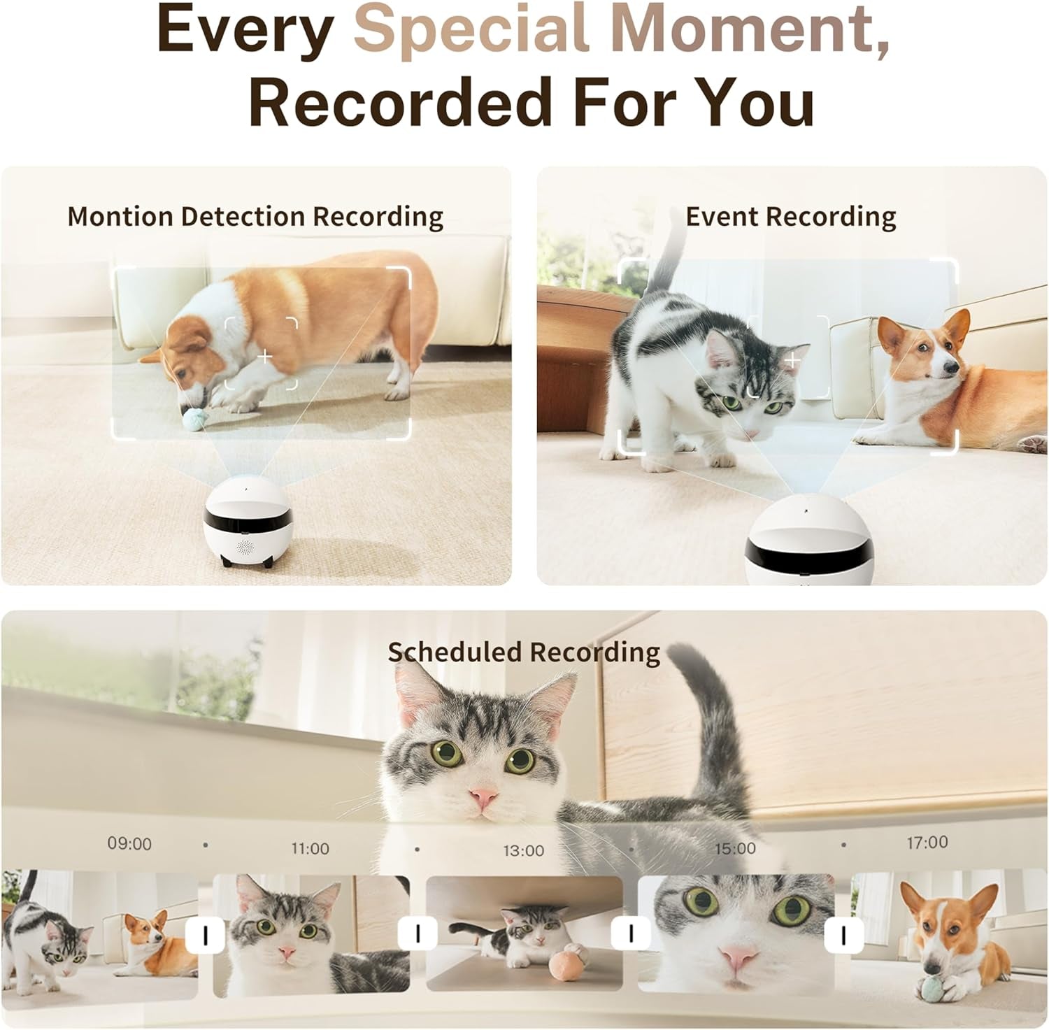 Smart pet monitor robot for checking pets from phone