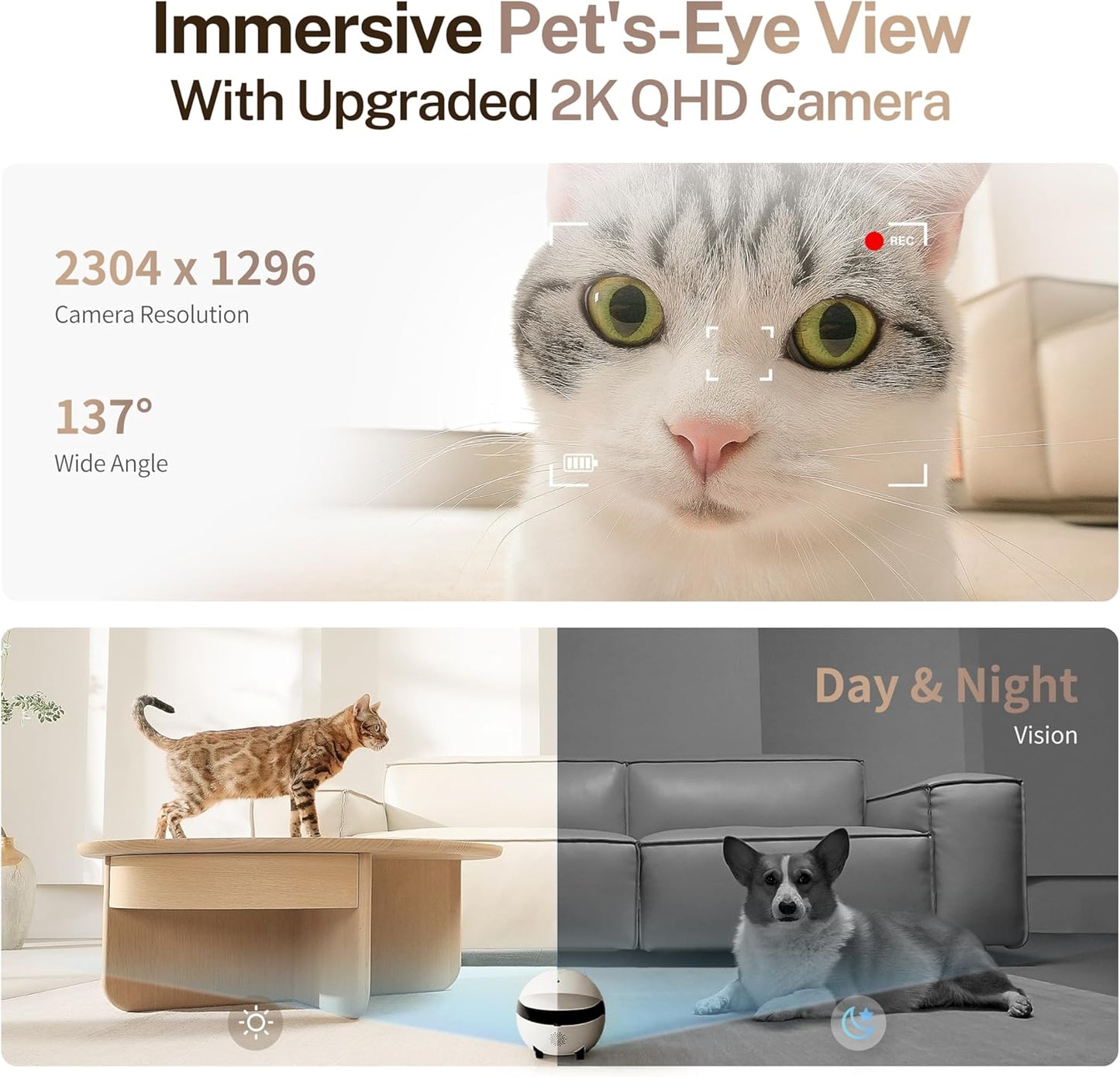 Enabot EBO ROLA Mini Smart Pet Camera Robot