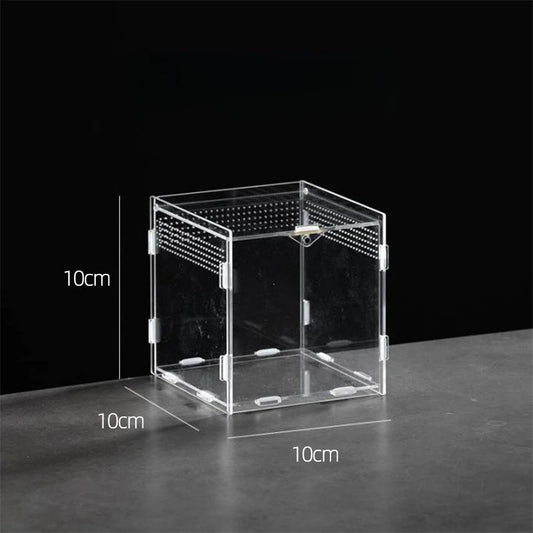 Home & Garden Pet Product Insect Supplies Boxes Reptile Product Hermit Crab Gecko Feeding Tank Assembled Acrylic Transparent Box