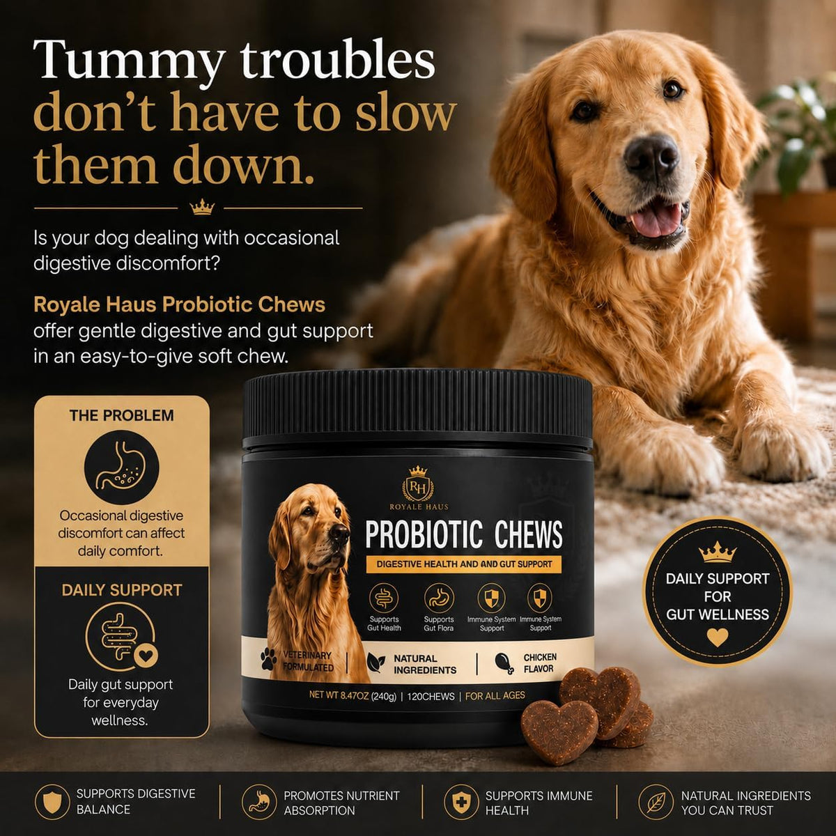 Probiotics for Dogs – Digestive Health & Gut Support – Supports Healthy Digestion, Immune System, Gas & Bloating Relief – Soft Chews for Small, Medium & Large Dogs – 120 Chews
